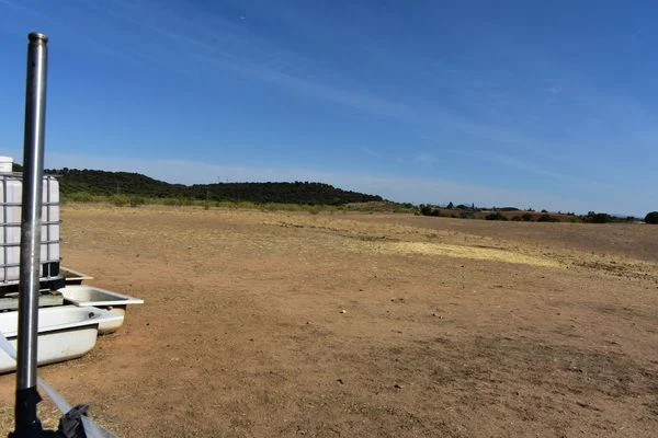 Rural plot near Ribatejada, 28,400 m²