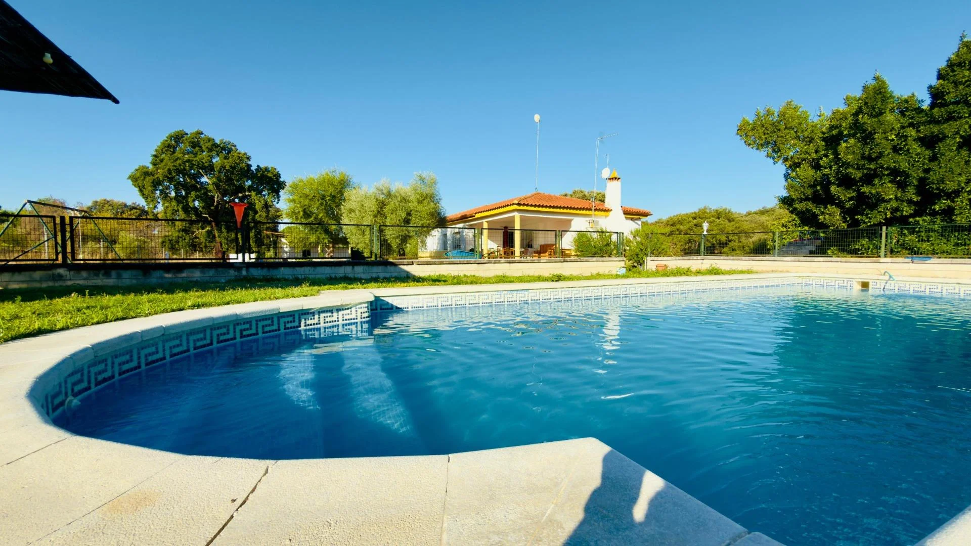 Chalet rural con 101 olivos