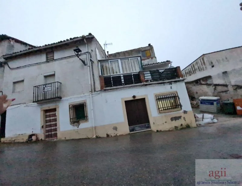 Large village house with bar