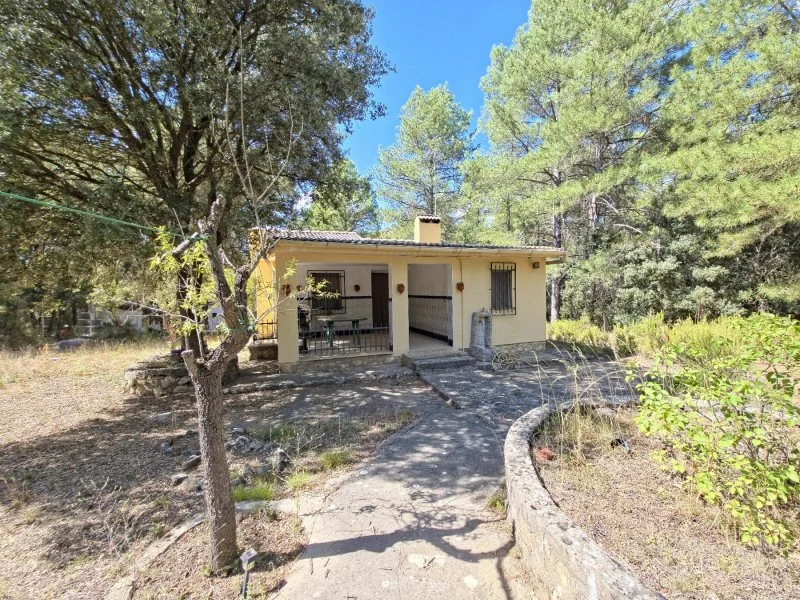 Nature chalet with 1,500 m² plot