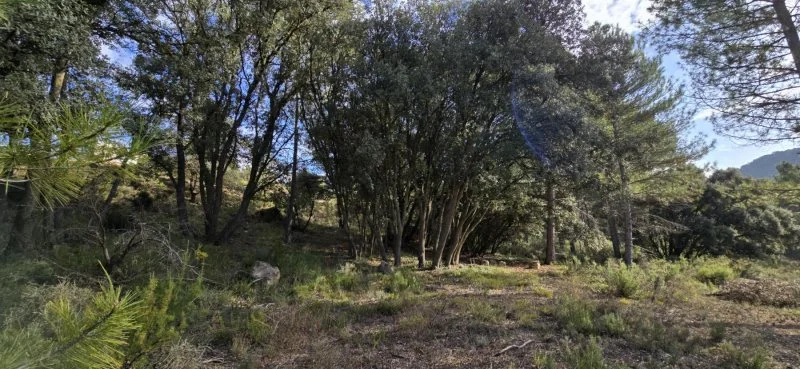 Urban plot in Valdenaya, 2,130 m²