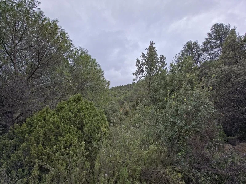 Urban plot in Valdenaya, 2,224 m²