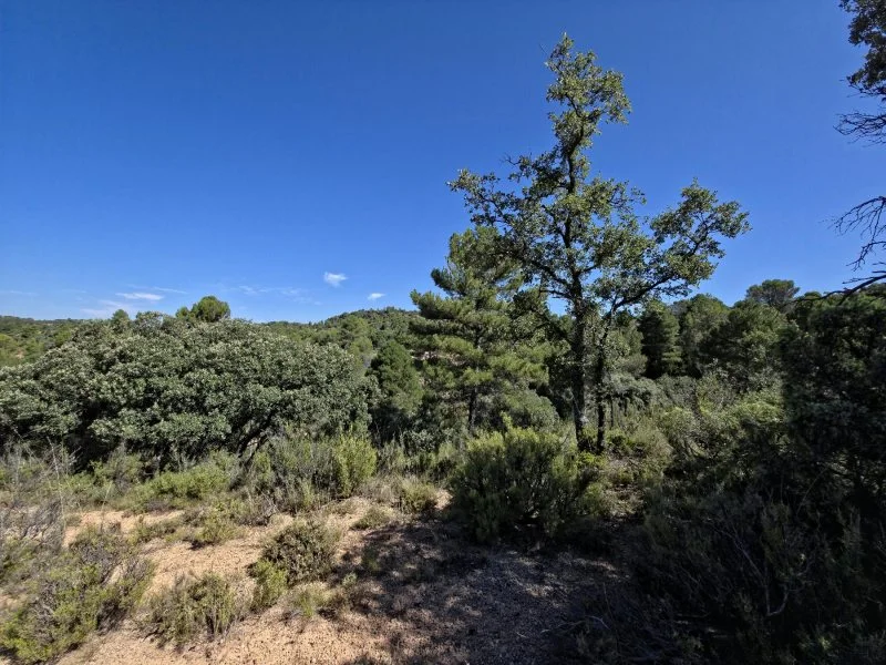 Urban plot in Trillo, 2,565 m²