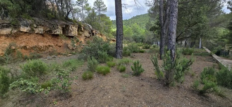 Urban plot in Valdenaya, 1,500 m²
