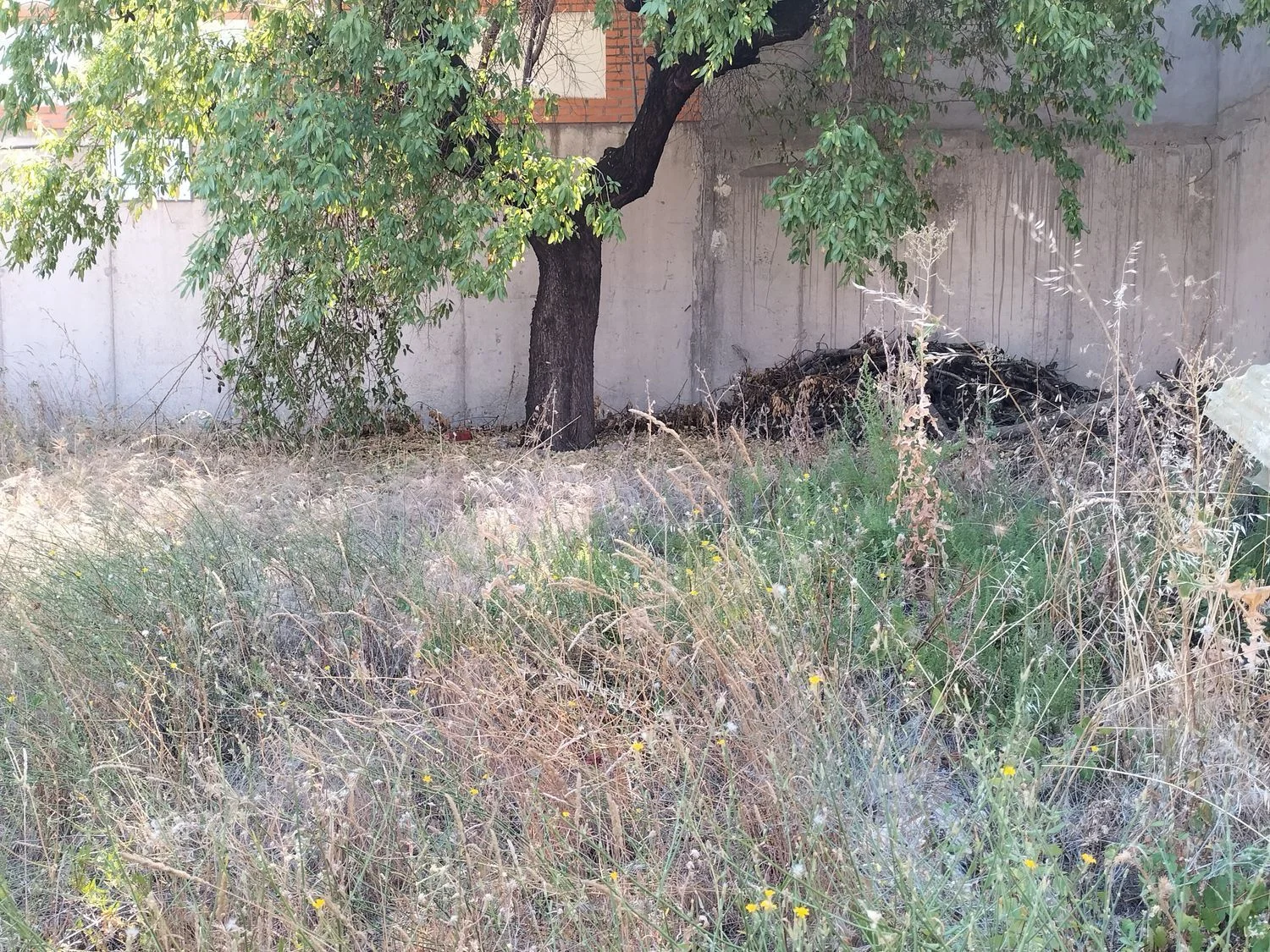 Central Navalcarnero plot, seven-home potential