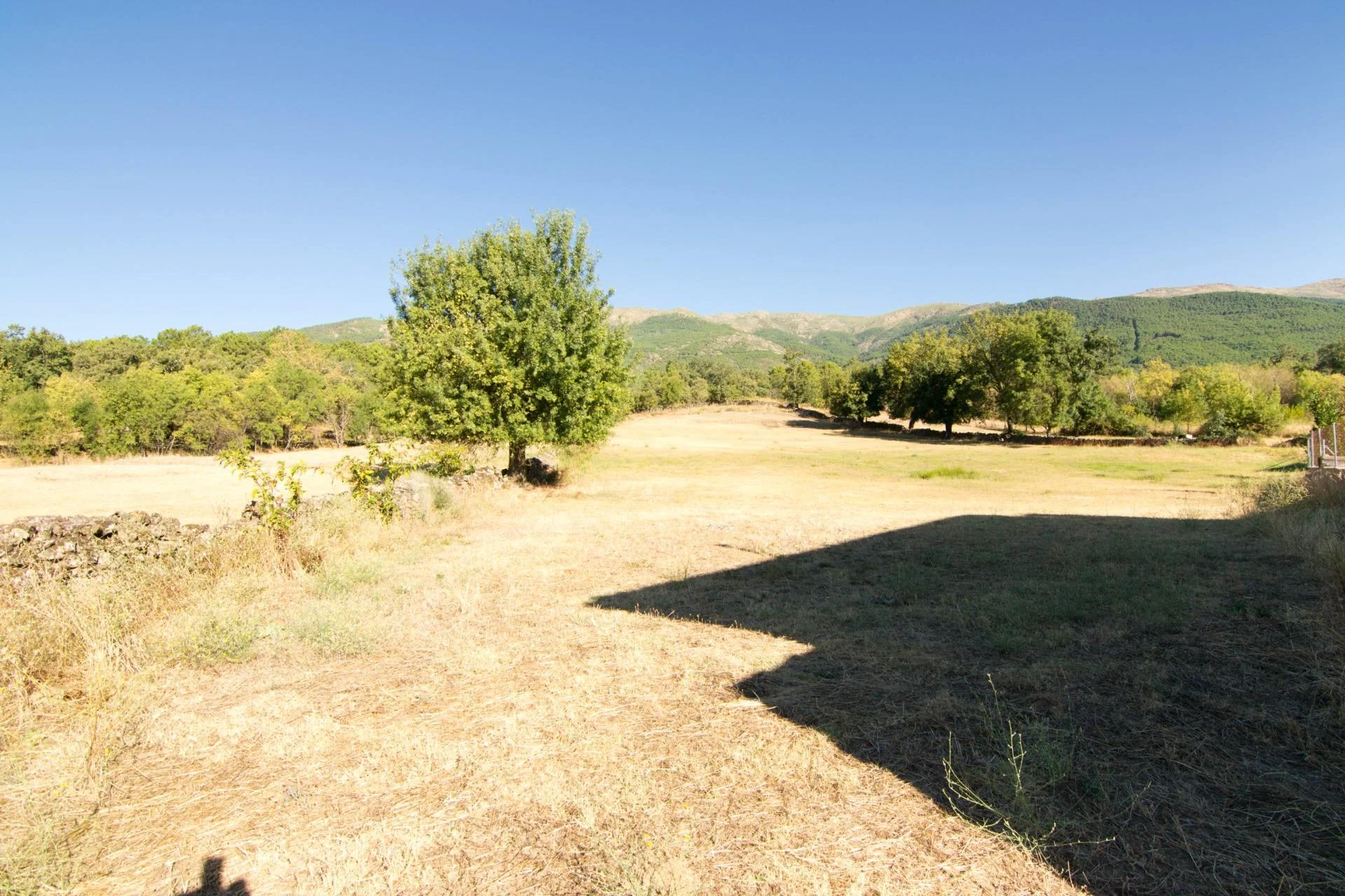 Parcela rústica cerca de Casavieja, 7.091 m²
