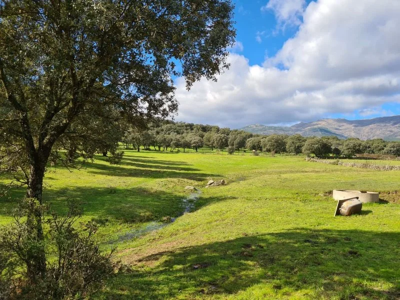 Terreno rústico cerca de Mijares, 60.600 m²