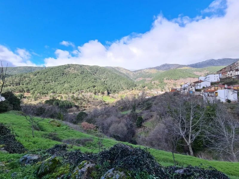 Parcela urbanizable en Nogalillo, 4.000 m²