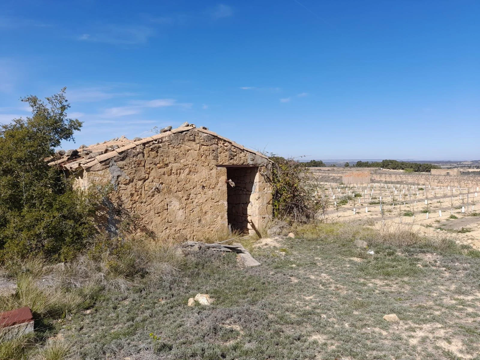 Finca rústica de regadío con caseta de piedra