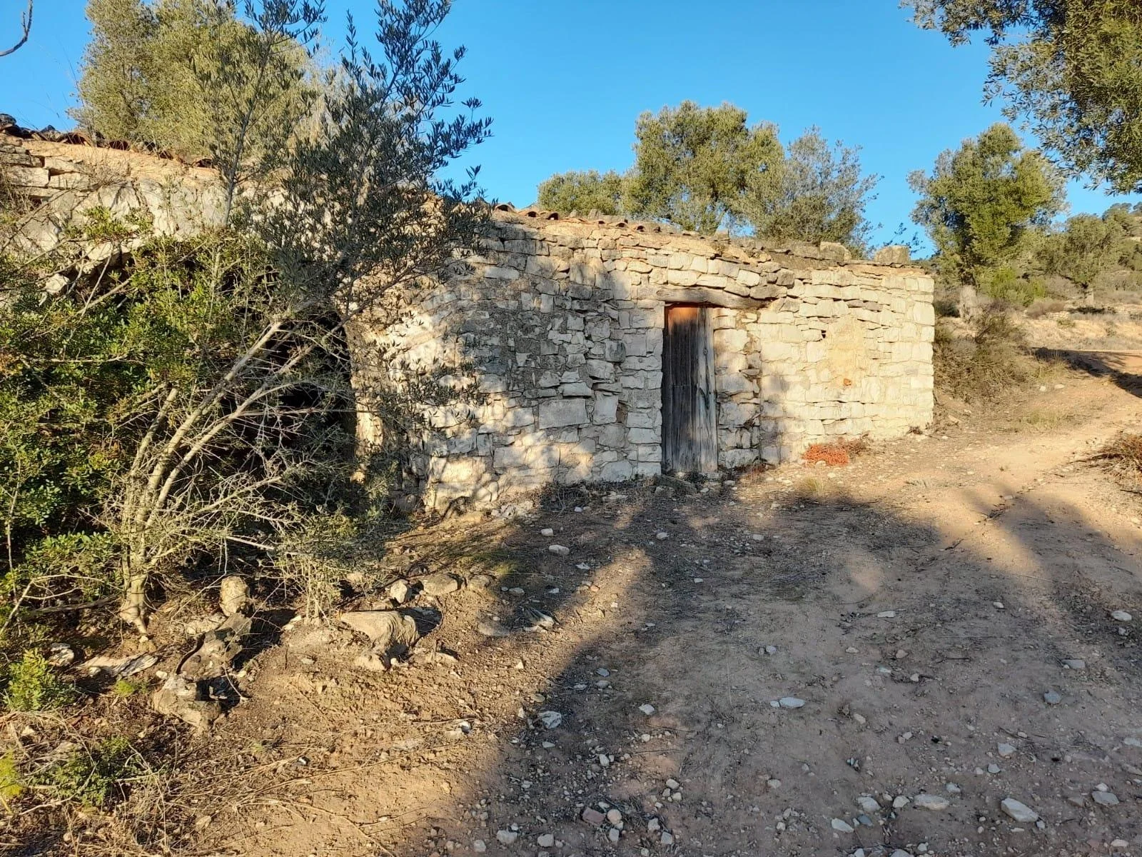Finca rural productiva de 8,4 hectáreas