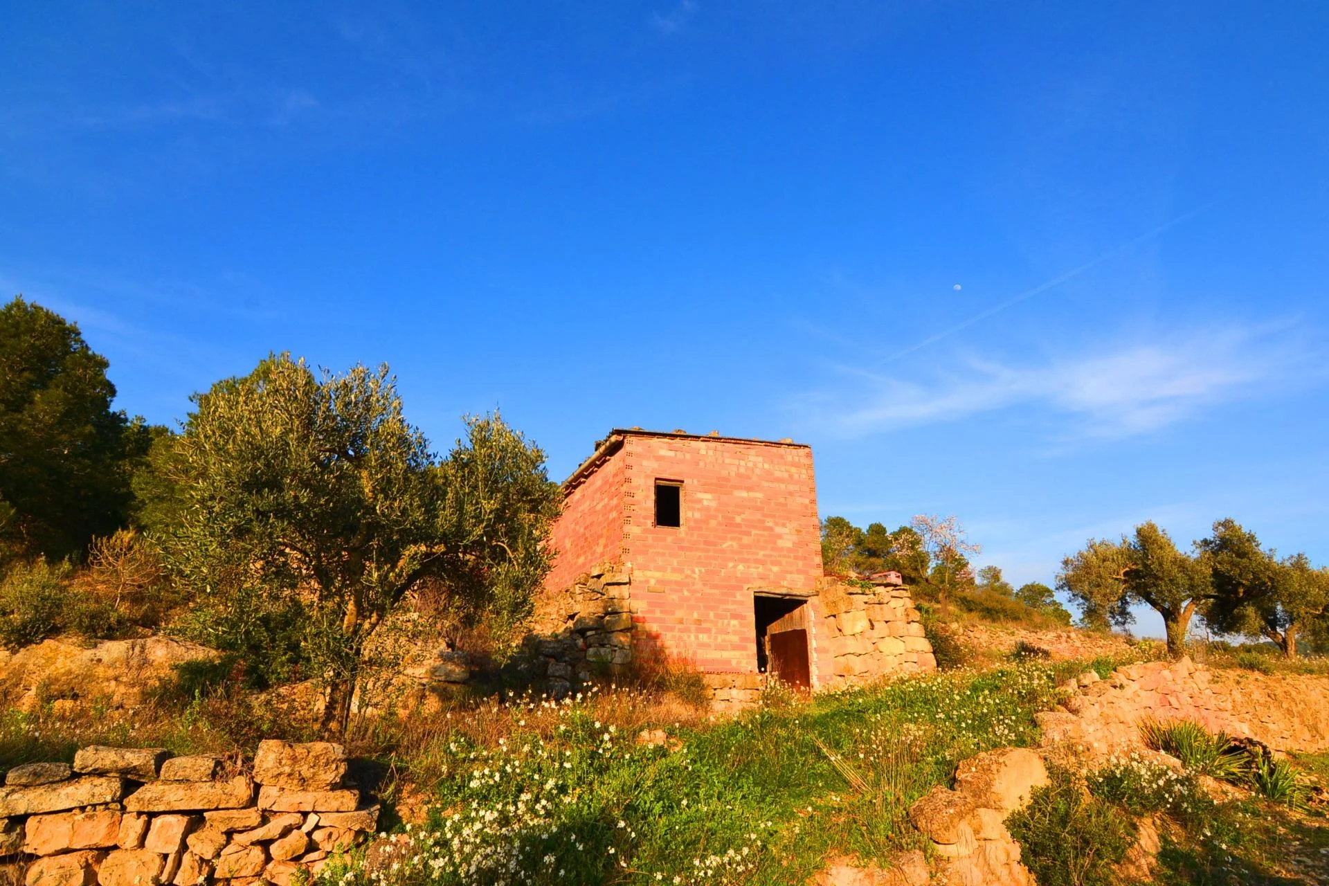 Finca de regadío con cultivos productivos