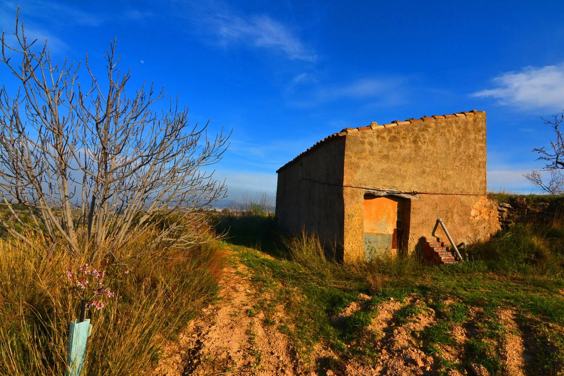 Finca rústica de regadío productiva en Gandesa