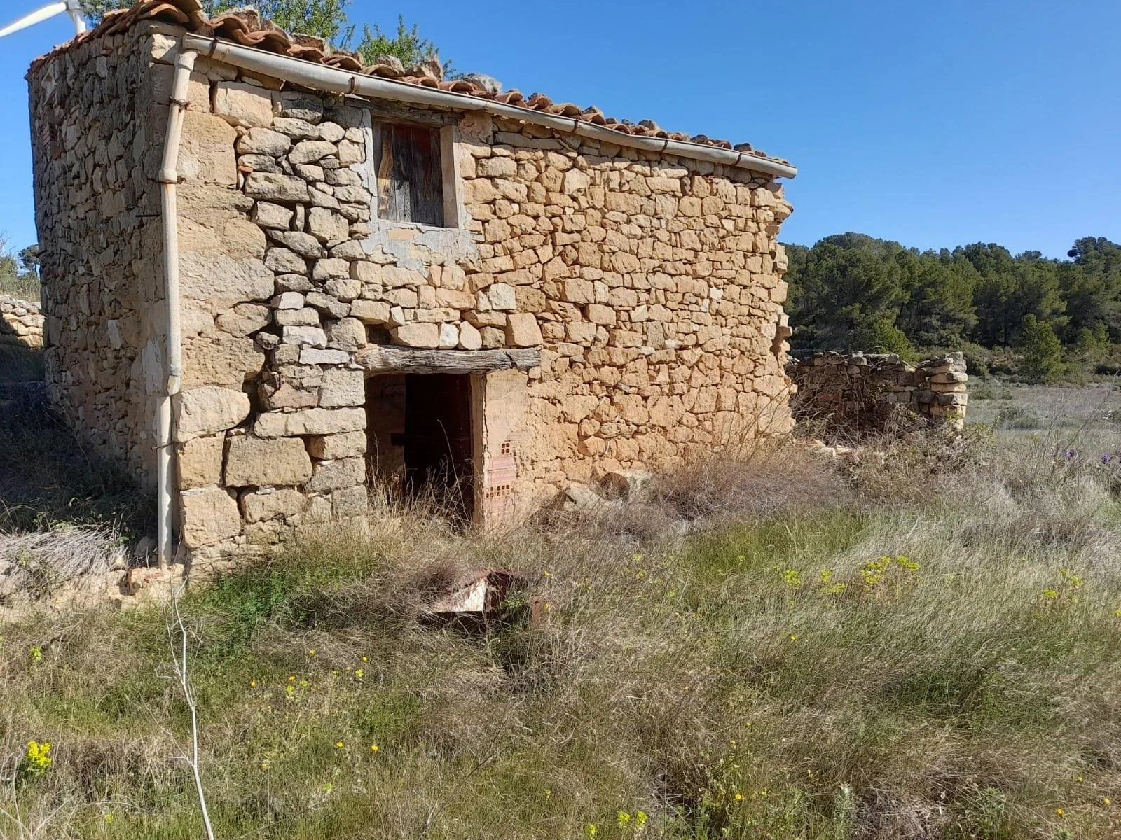 Gran finca rústica con potencial de reforma
