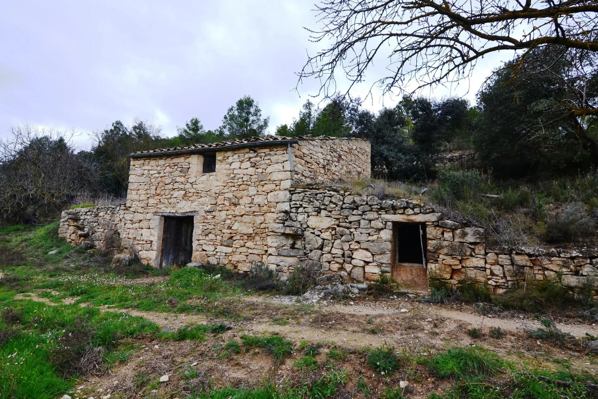 Finca rústica de regadío con piedra