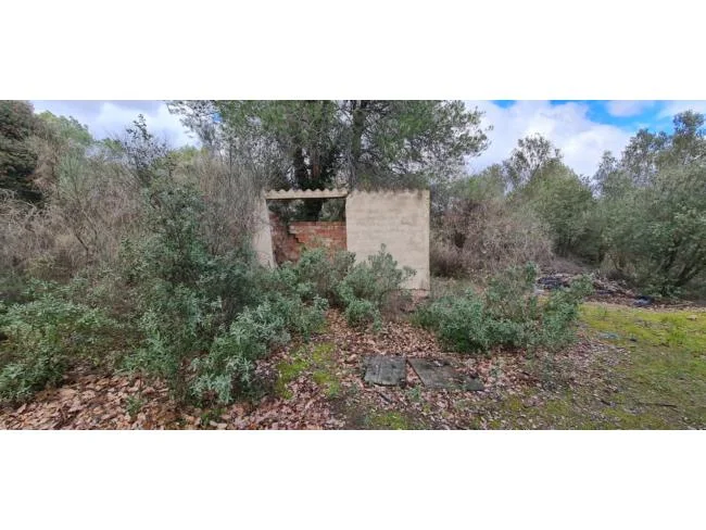 Rural plot with well near Lliçà