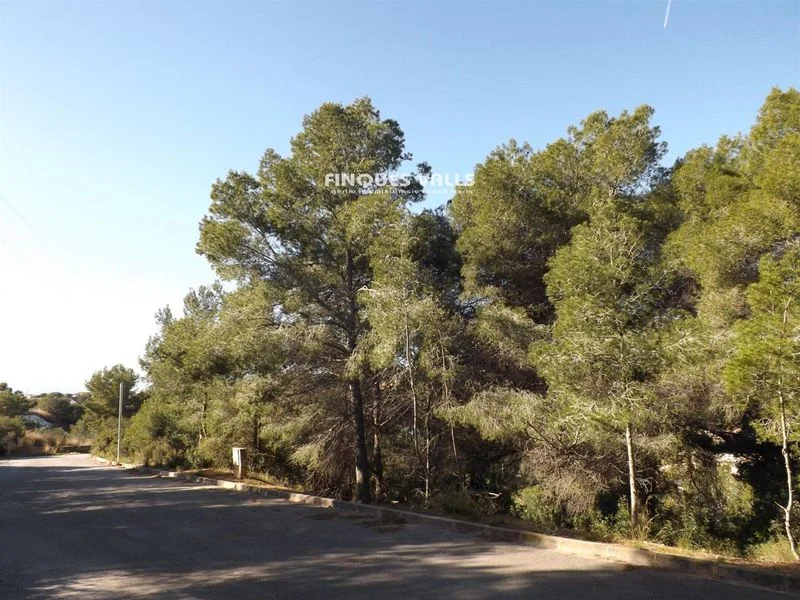 Sea-view land near Calafell, 1,416 m²