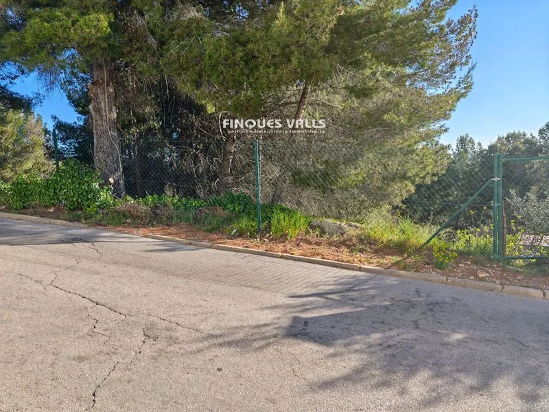 Urban Can Gordei plot, 696 m²