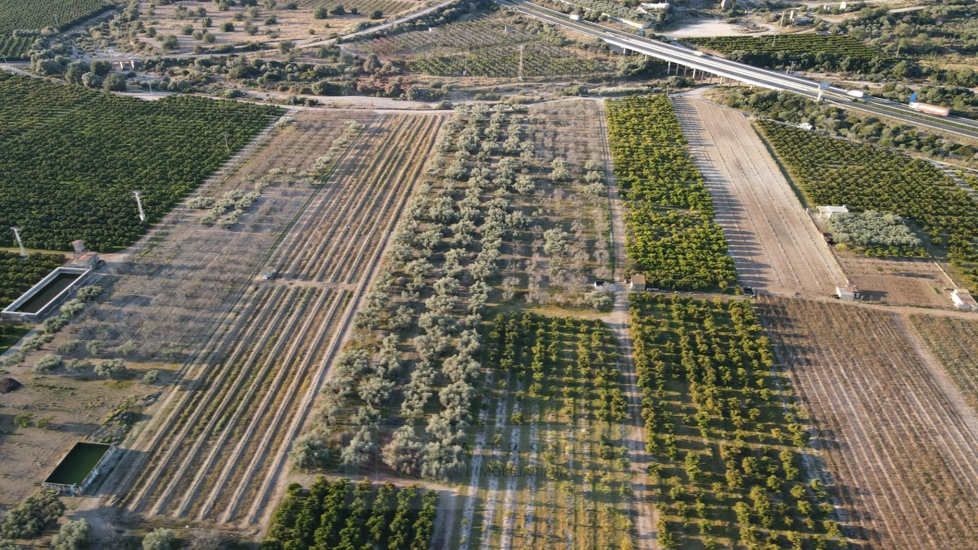 Olive farm near Vinaròs with well