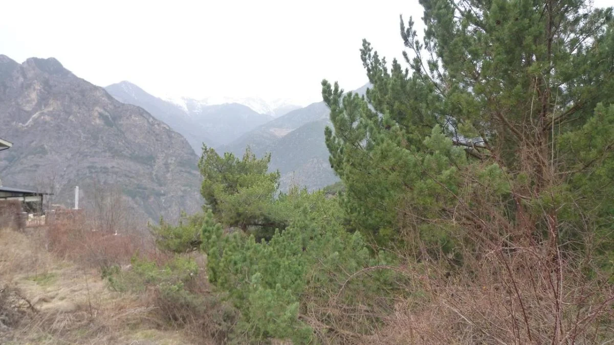Serviced Aixirivall plot, 4,350 m²