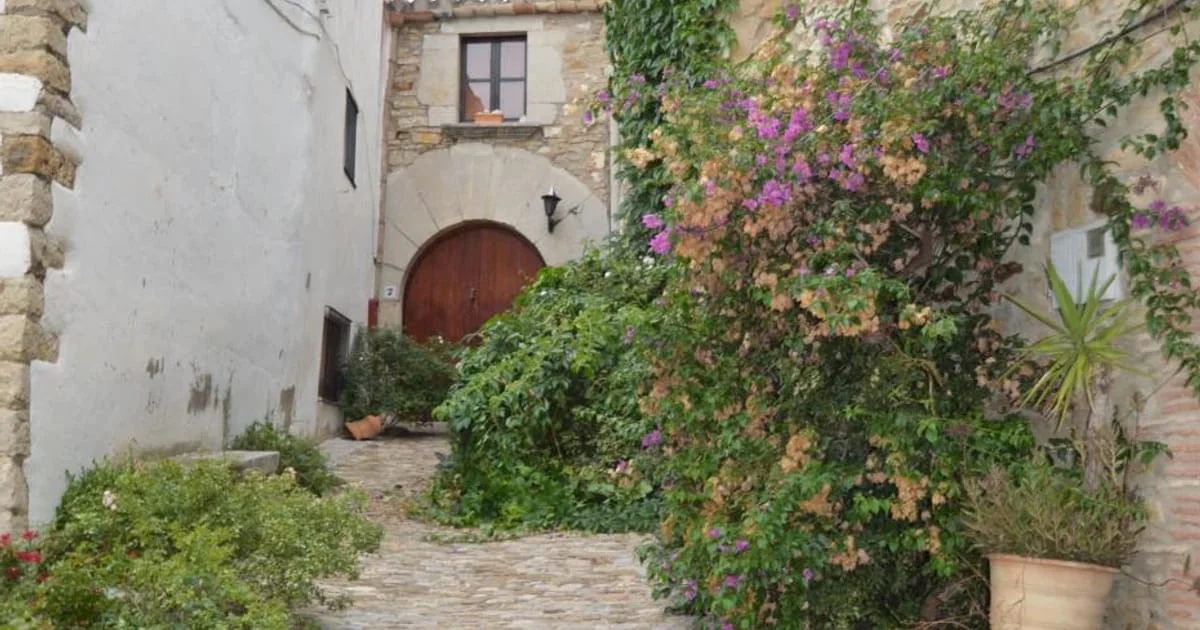 Restored twin village houses with gardens