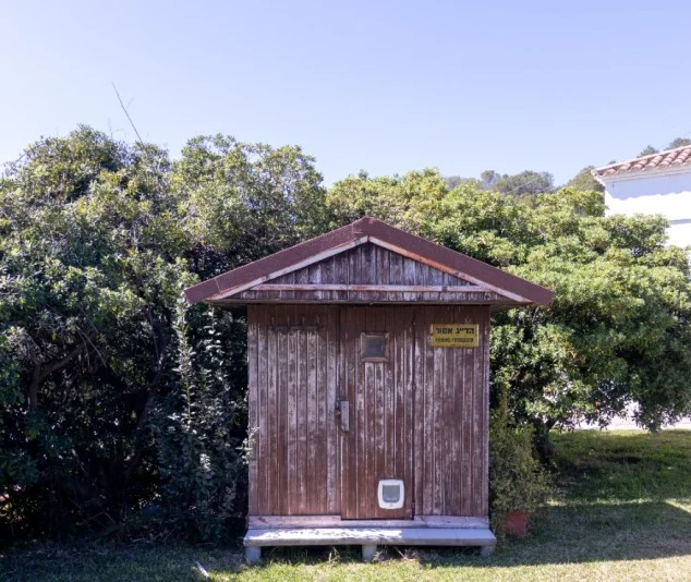 Finca rústica con piscina y 60.000 m²