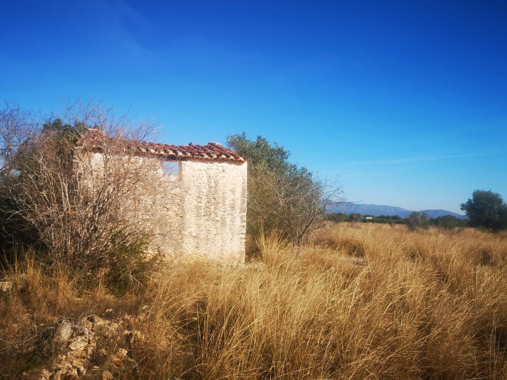 Rural Traiguera plot with renovation house