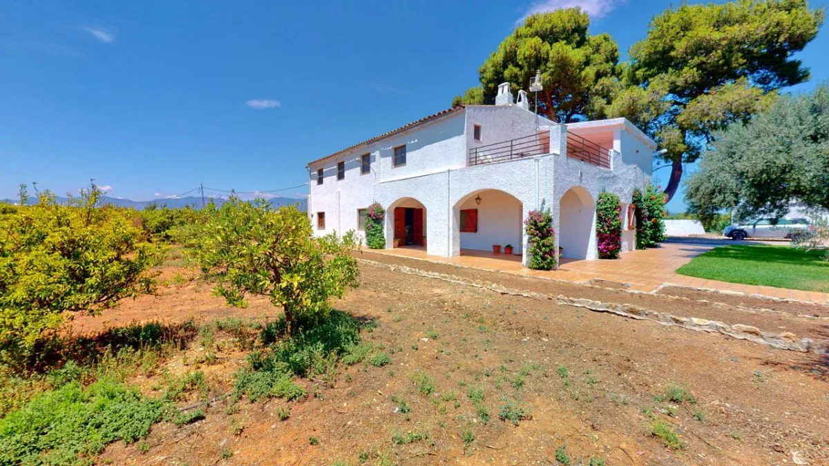 Reformed rural estate with citrus production
