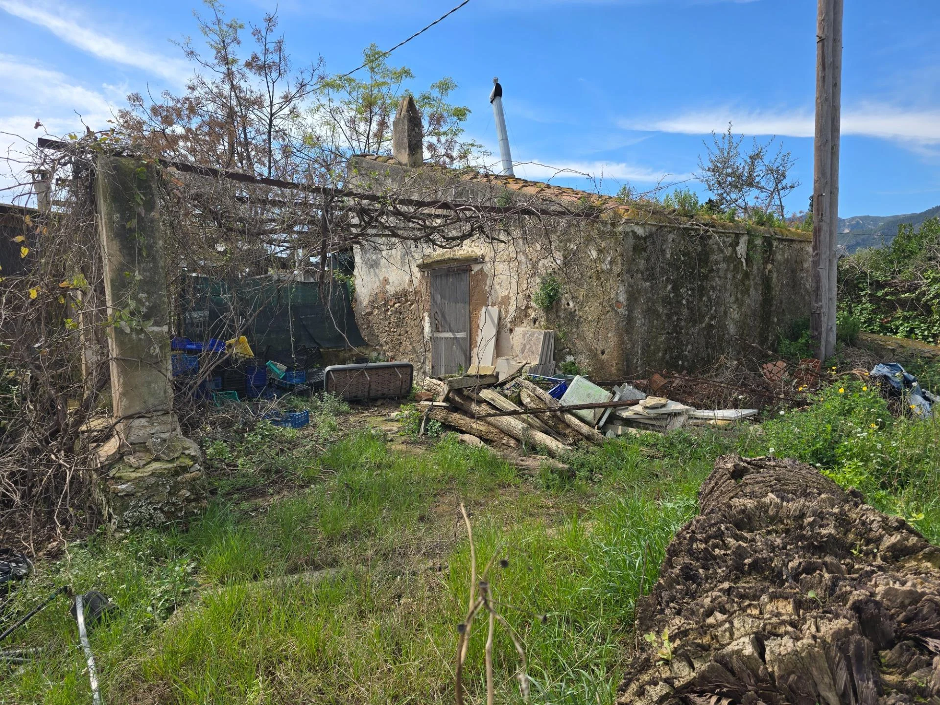 Finca rústica en Amposta de 5.700 m²