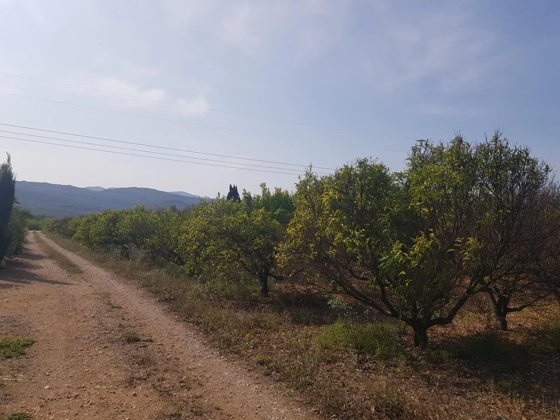 Finca rústica con casa de 15 m²