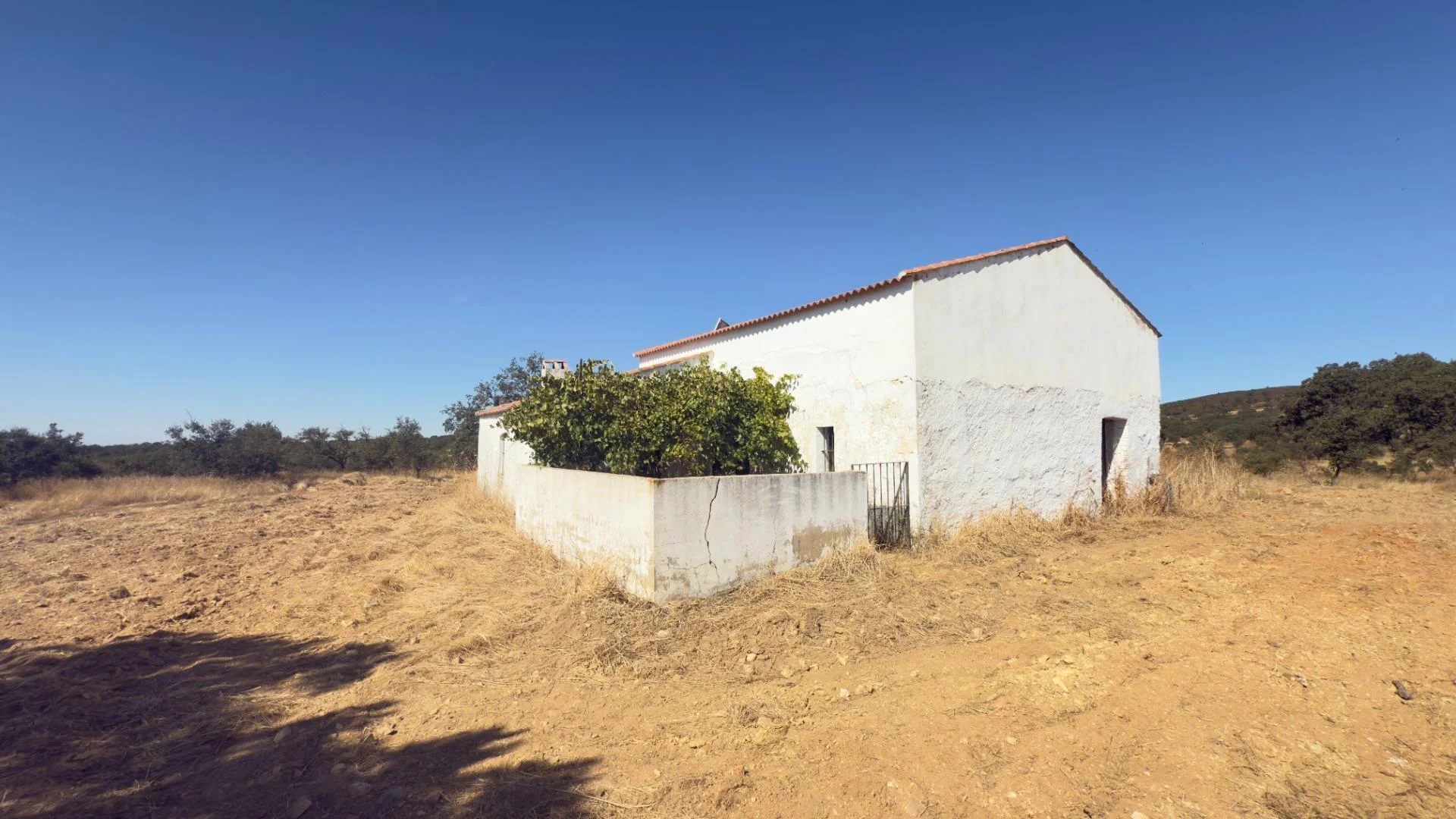 Rural finca near Huelva with 230,000 m²