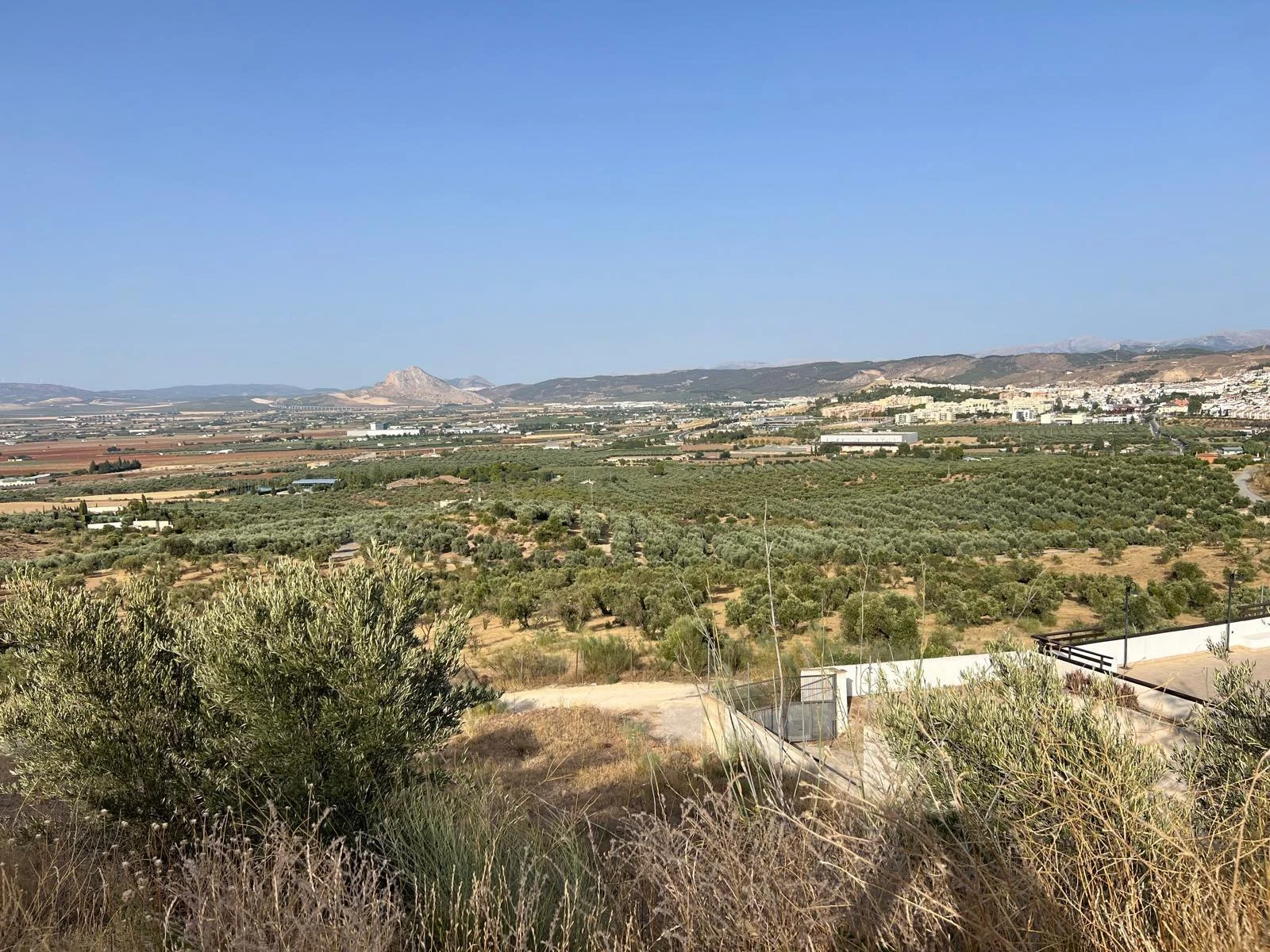 Parcela urbana en Antequera, 1.188 m²