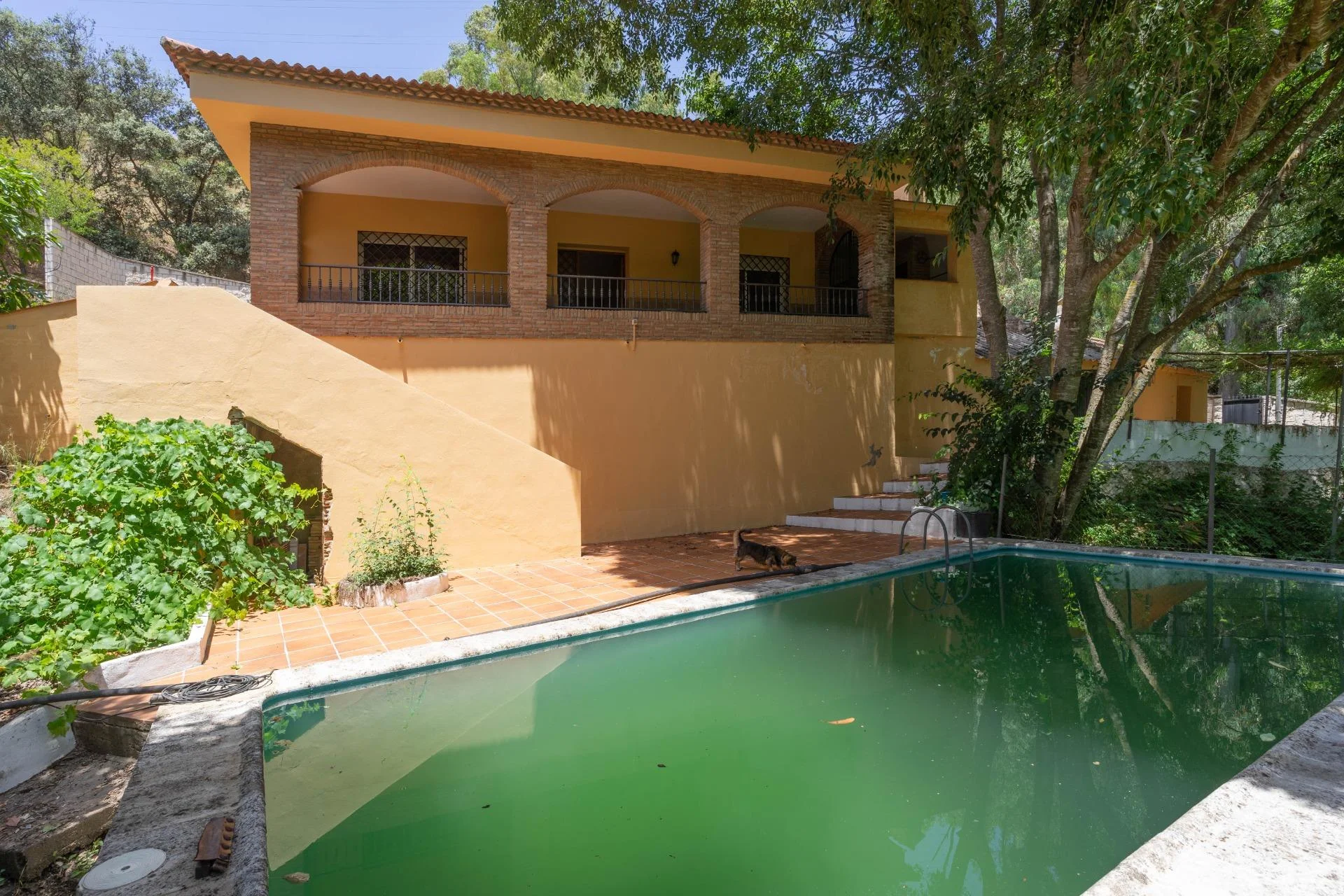 Chalet with pool and 21,000 m² land