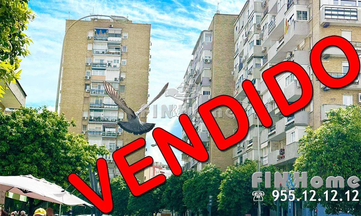 Reformed Triana flat, 83 m², elevator