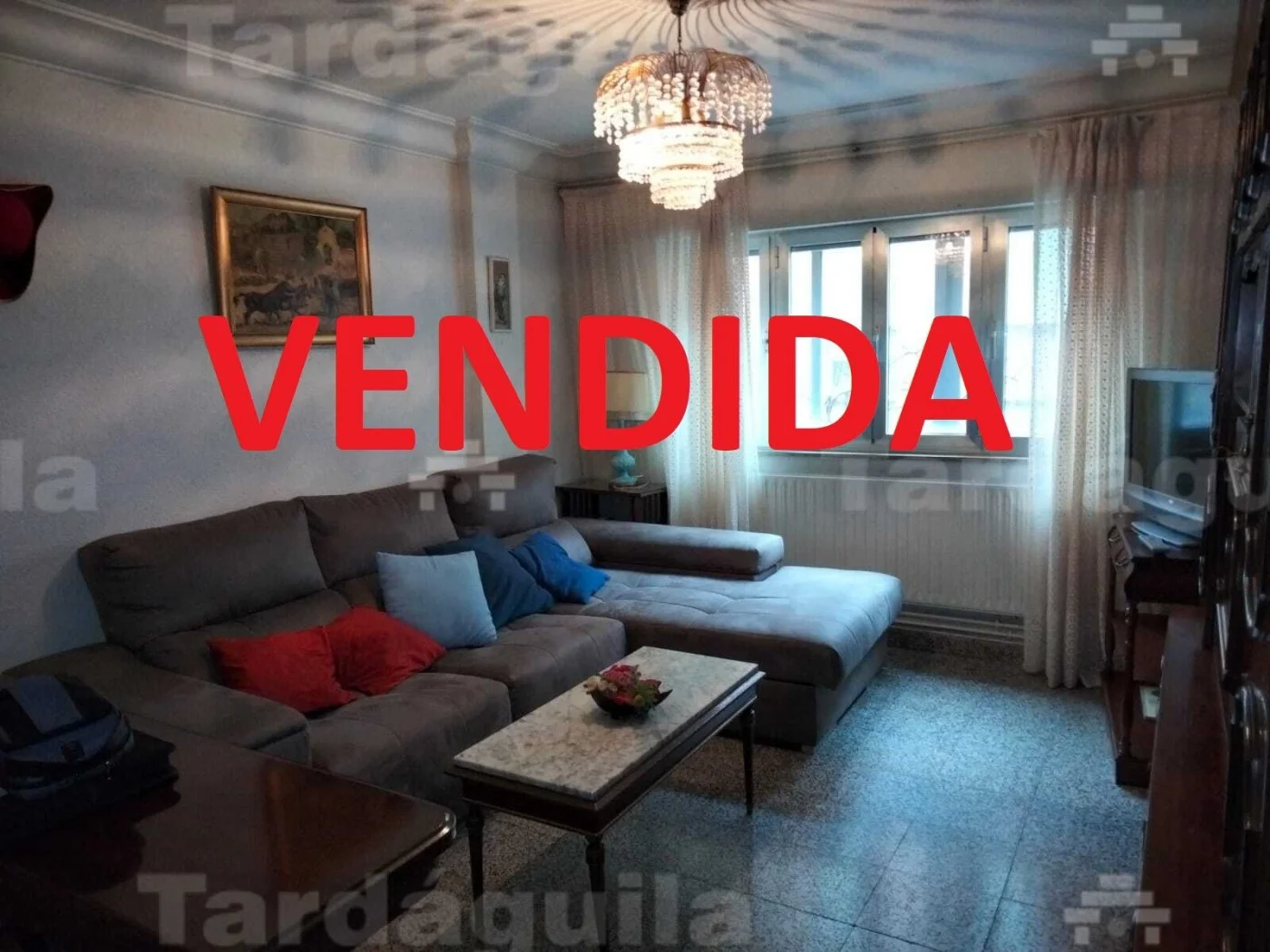 Investor flat near campus, 3 bedrooms