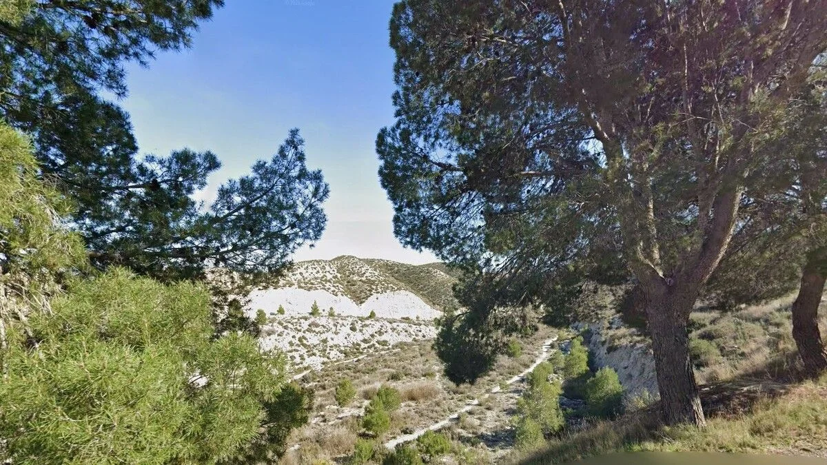 Suelo en desarrollo en Cuarte de Huerva