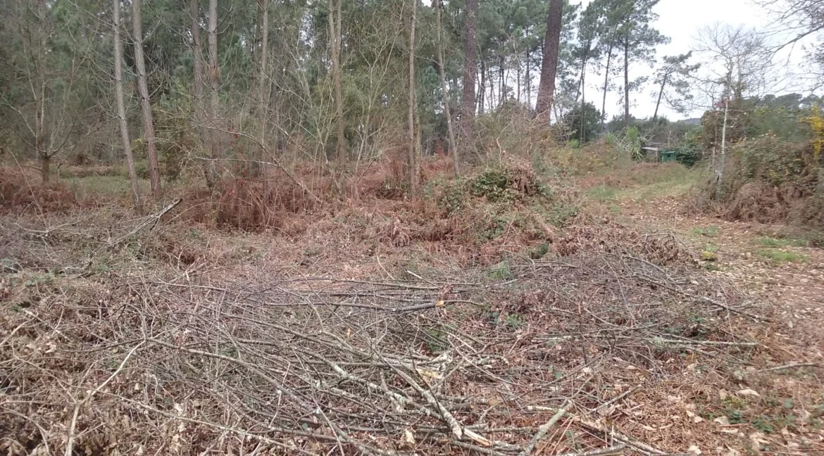 Buildable-zone land near As Neves