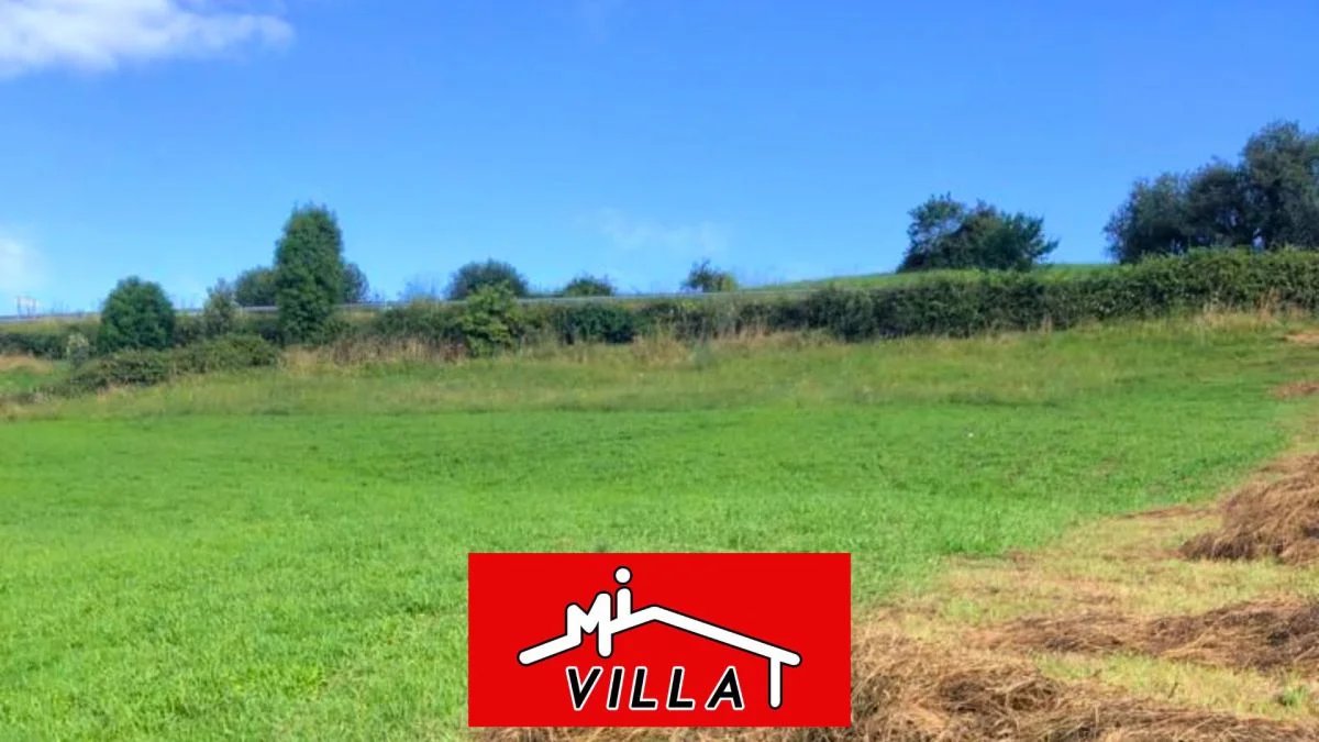 Rural agricultural plot near Laredo