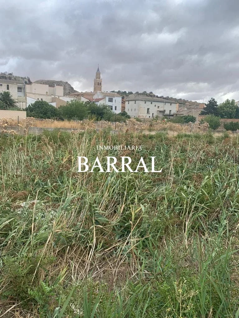 Developable urban plot in Arguedas