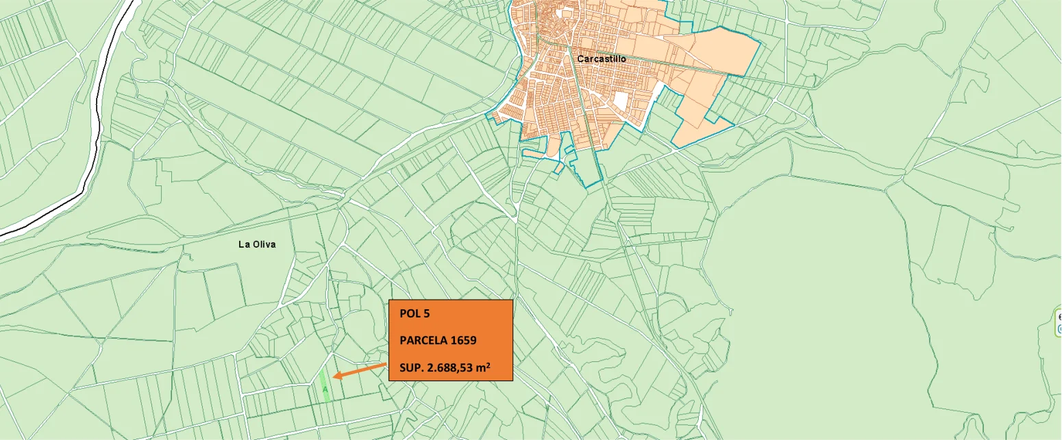 Rural land parcels in Carcastillo