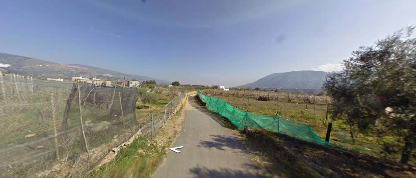 Finca rústica con viñedos de 12000 m²