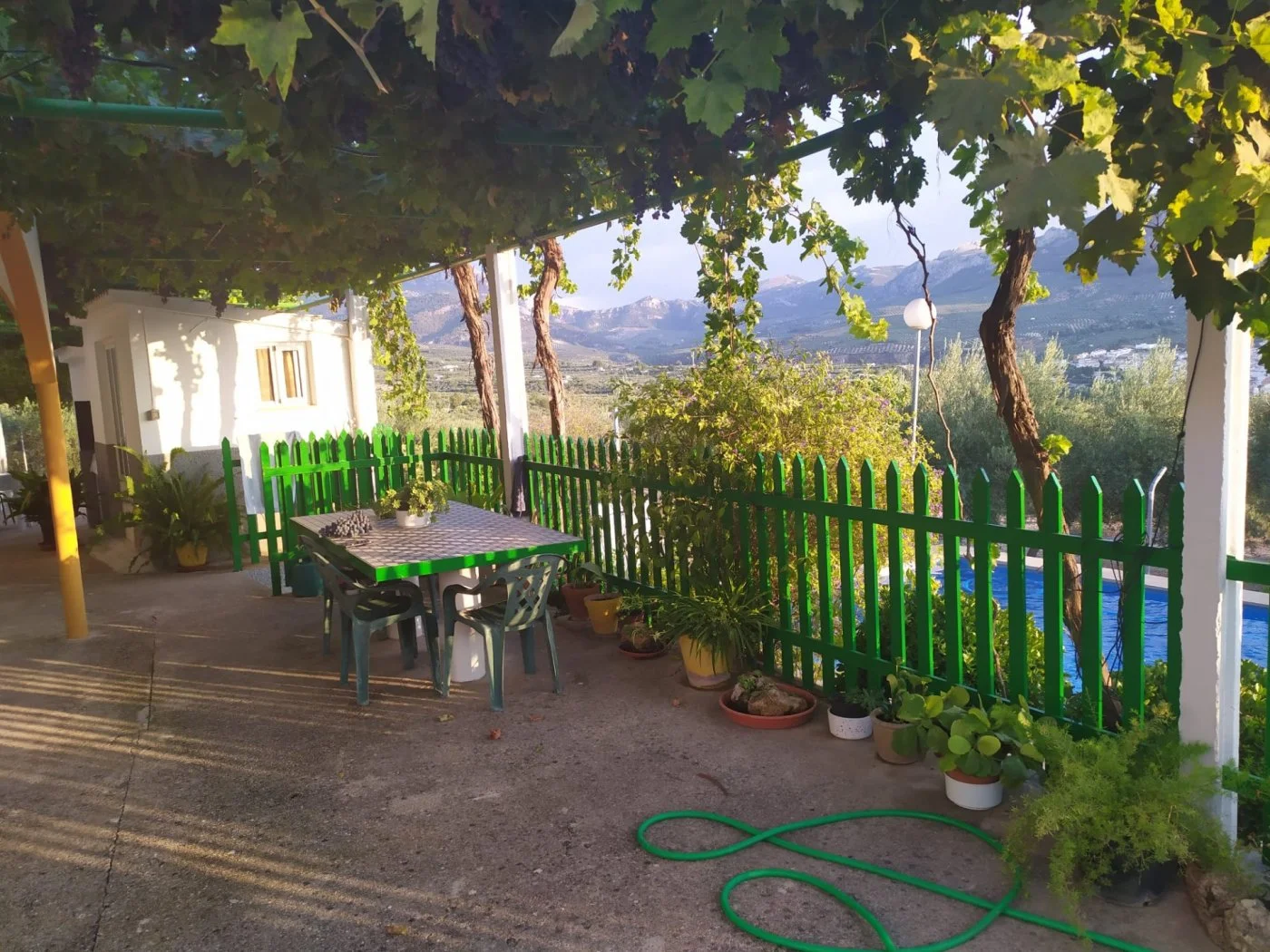 Finca olivarera productiva con cortijo