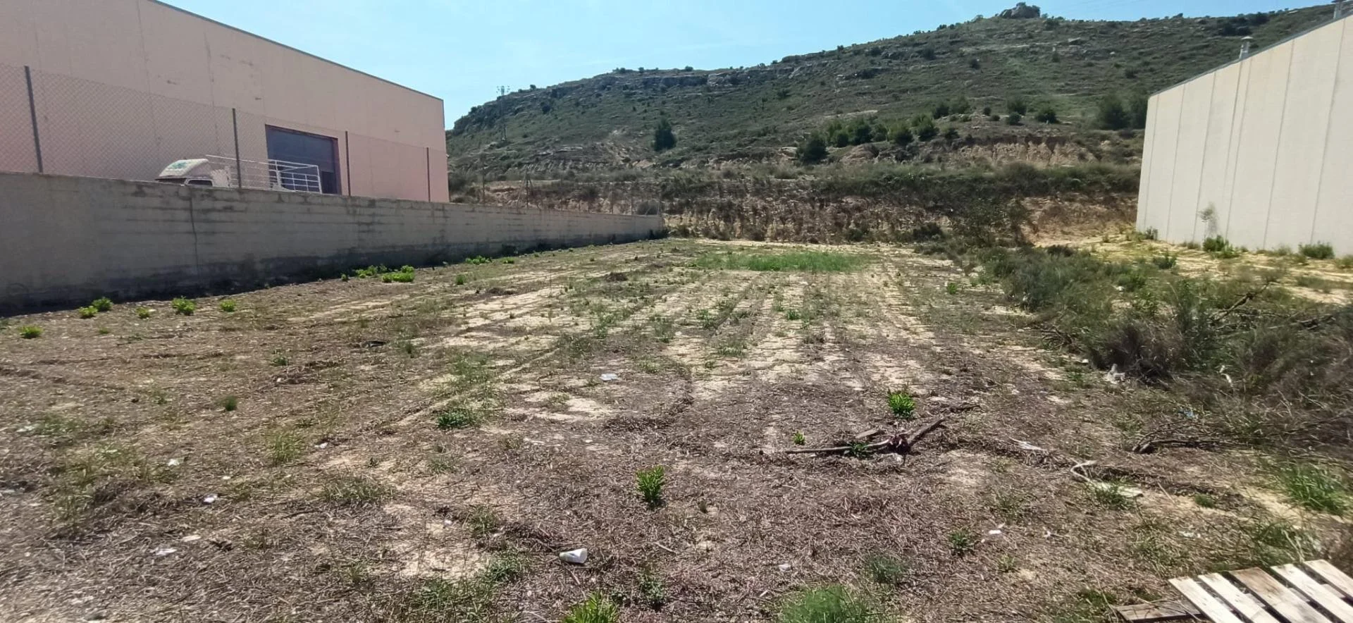 Industrial plot in Aspe, 622 m²