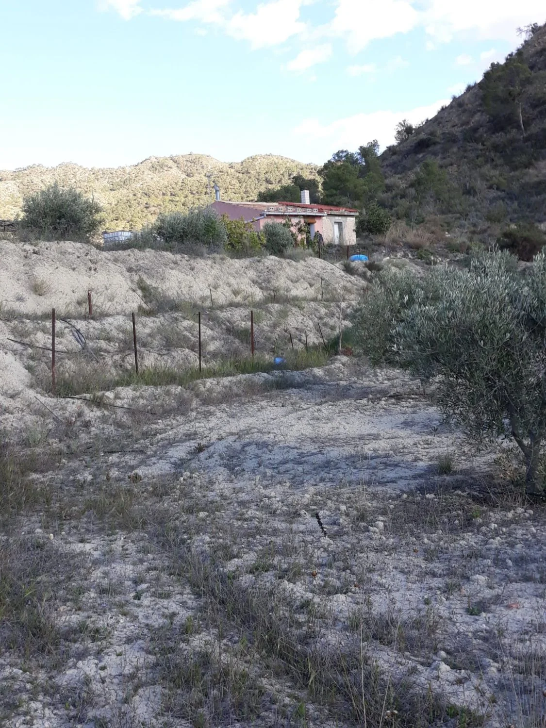 Rural refuge near Abanilla, 46 m²