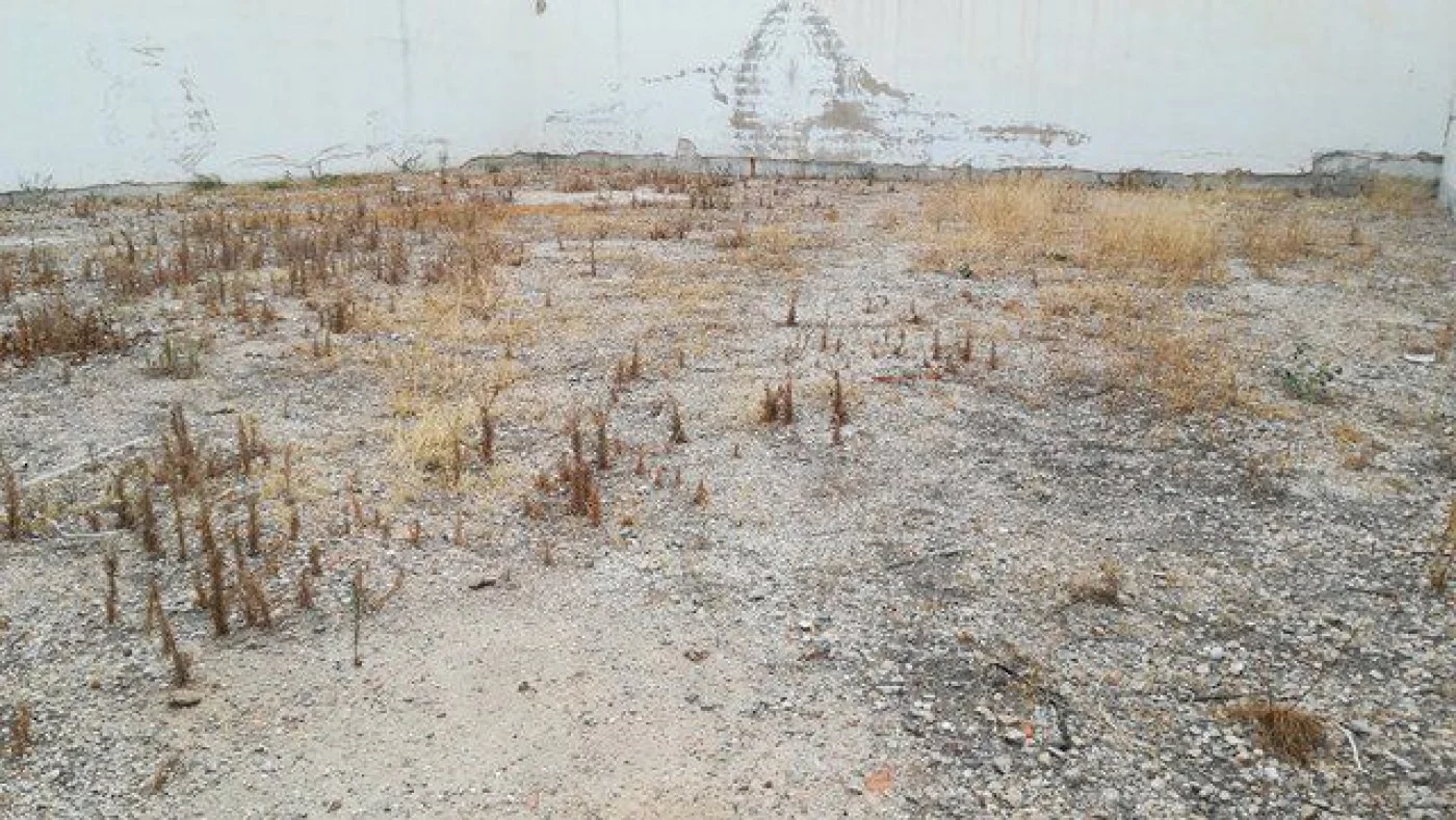 Developable central plot, 329 m²