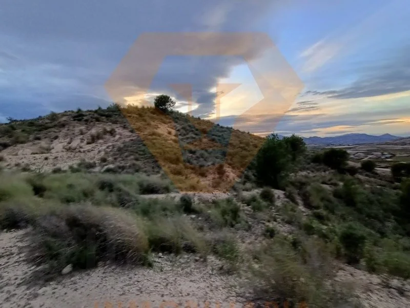 20,223 m² land in El Fenazar