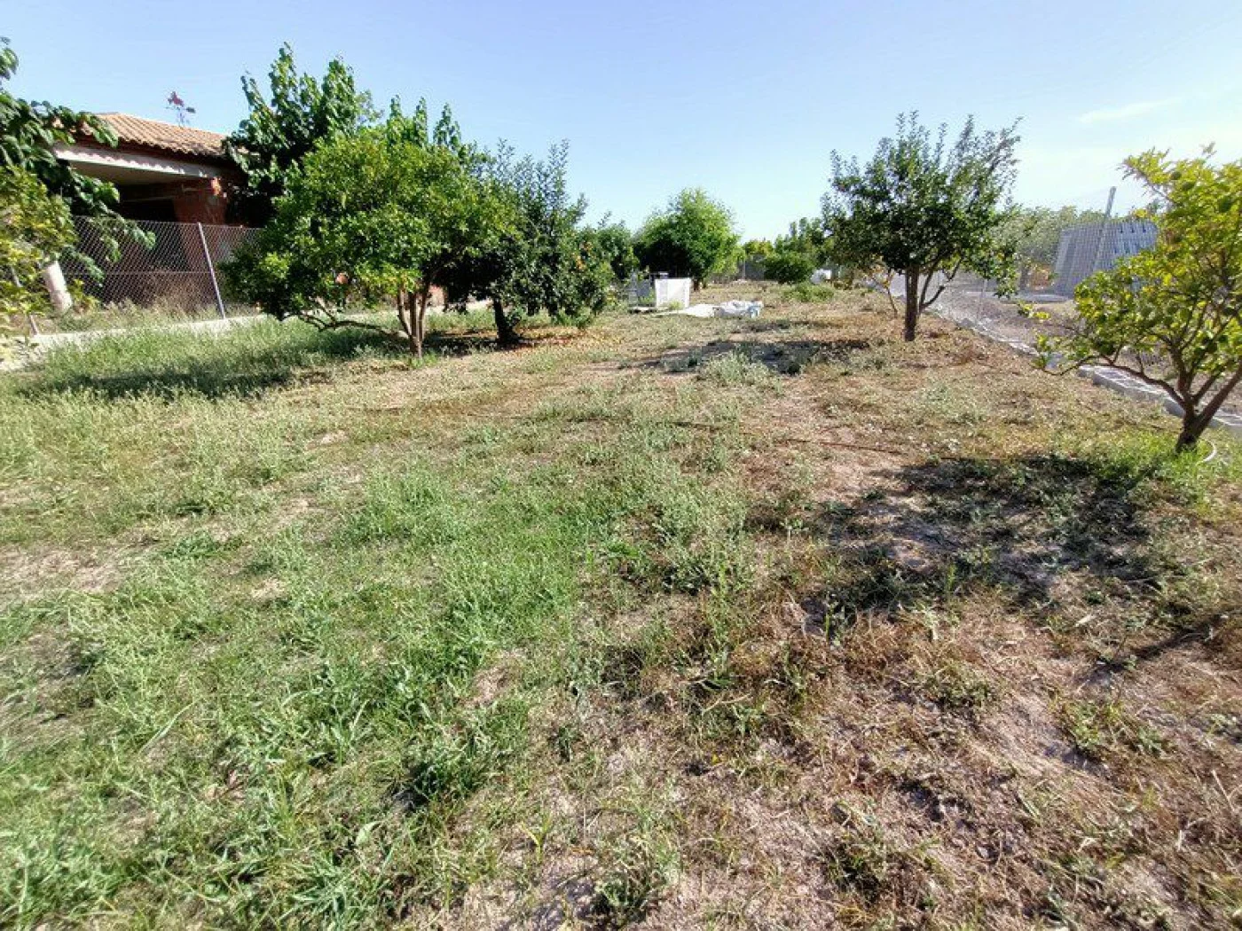 Fenced Huerta Arriba plot, 710 m²