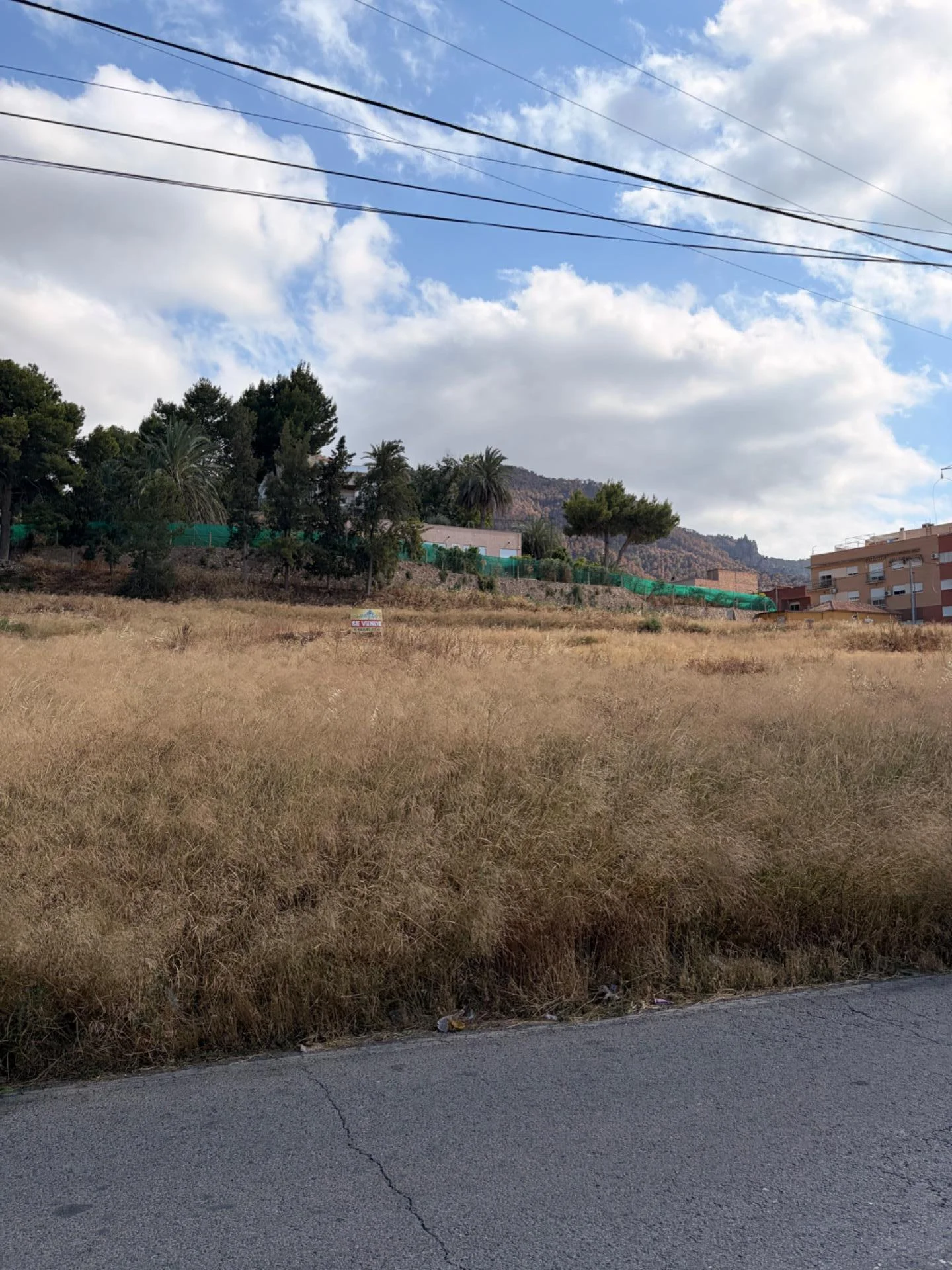Terreno rústico en Murcia junto al monte