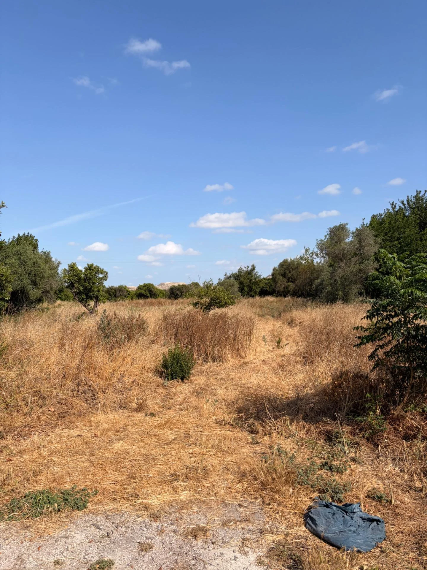 Terreno rústico en huerta murciana, 4.300 m²
