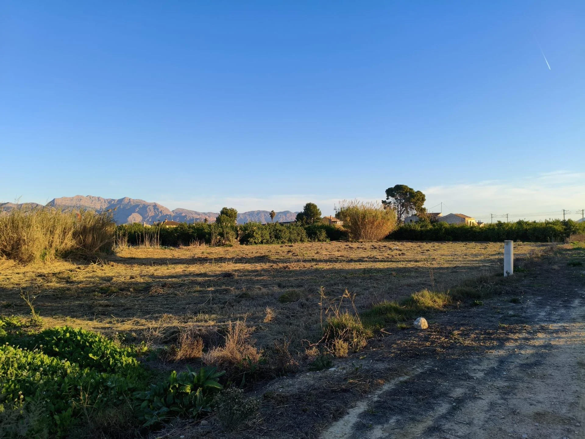 Urban land in Alquerías, 2,255 m²