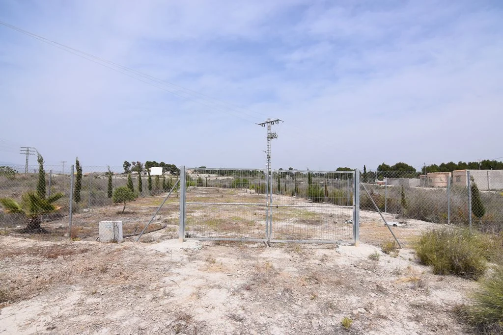 Rural plot in El Pino, 1,050 m²
